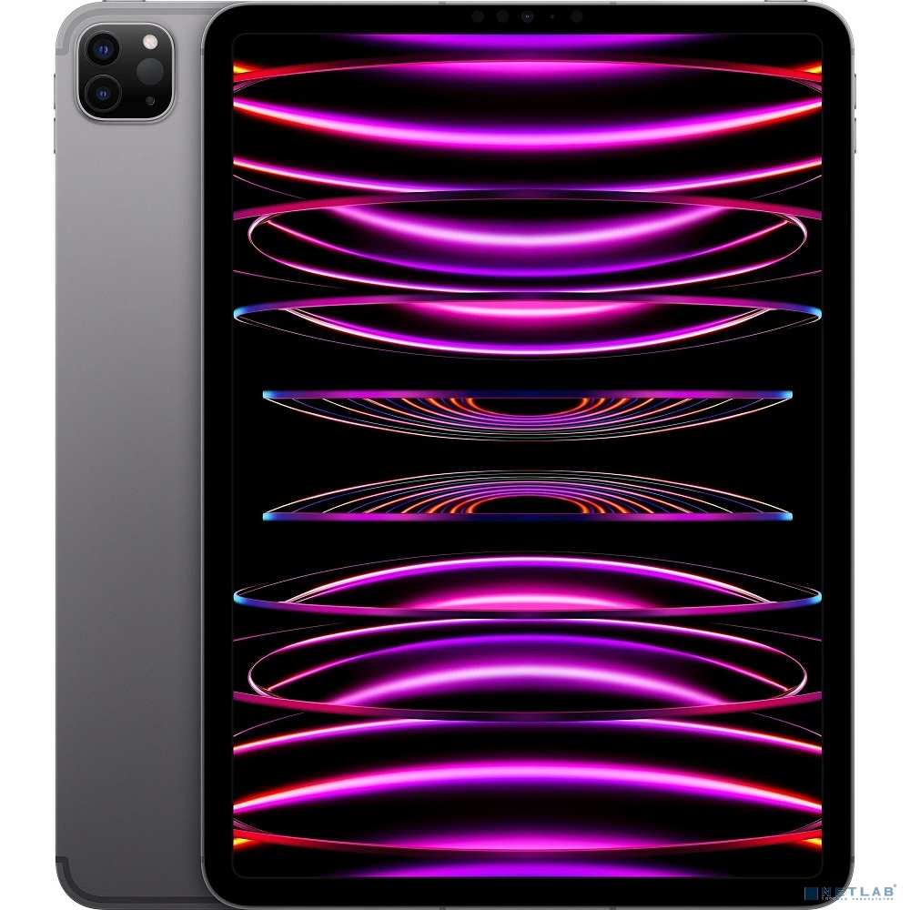Apple iPad Pro 11 M2 (2022) Wi-Fi + Cellular 1TB  Space Grey [MNYV3CH/A]